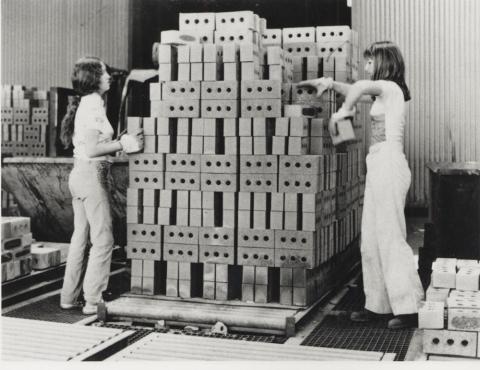 Female Palletisers